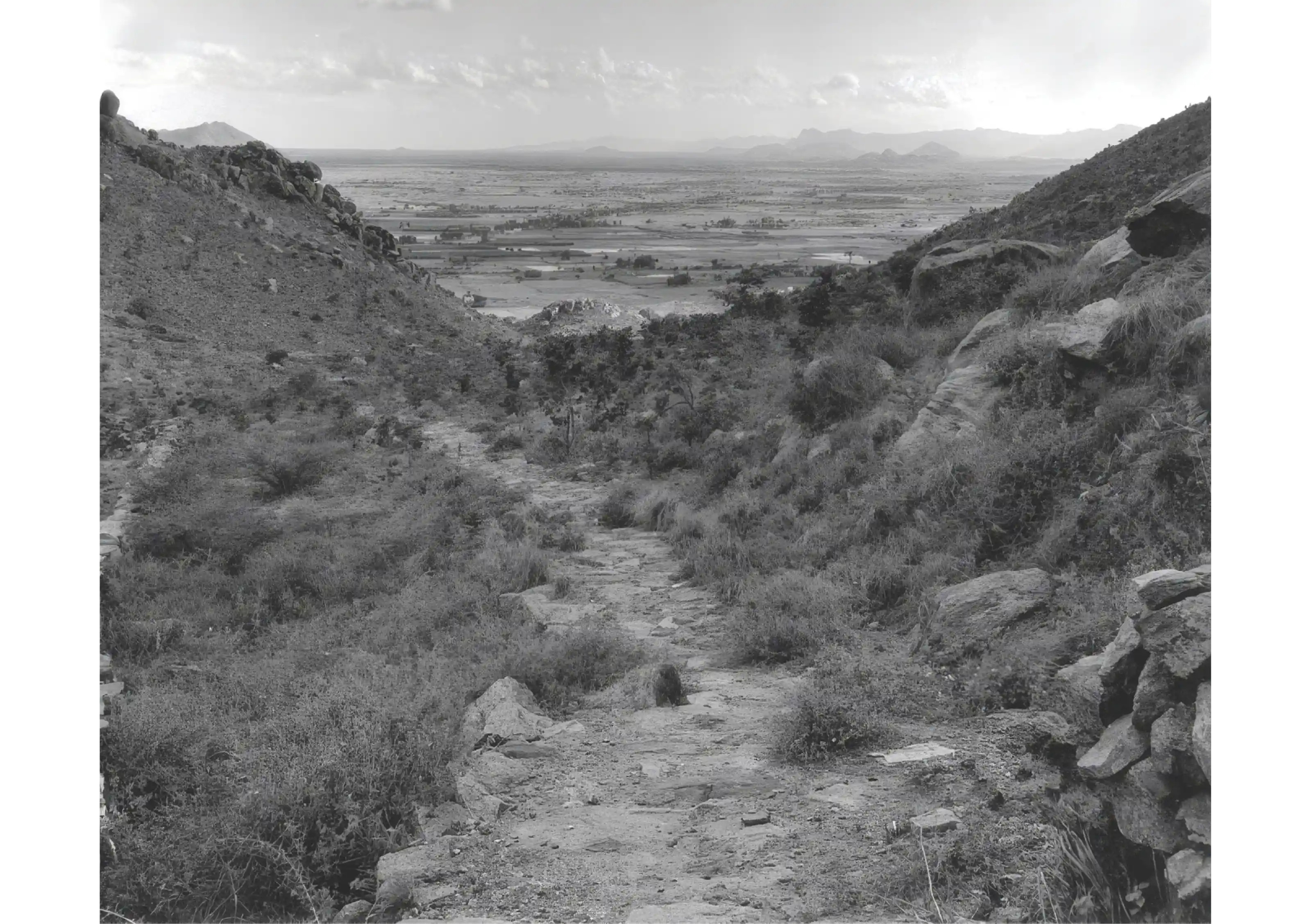 Landscape Terrain View
